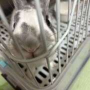 ヒメ日記 2025/07/05 22:09 投稿 ゆうな 迷宮の人妻 古河・久喜発