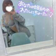 ヒメ日記 2025/12/28 12:12 投稿 らんぎく ドMバスターズ 京都店