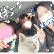 らんぎく 福井行ってきた( ˘ω˘ ) ドMバスターズ 京都店