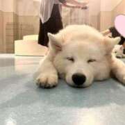 ヒメ日記 2024/12/27 15:21 投稿 チチ Club Hearts