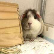 ヒメ日記 2025/01/14 20:36 投稿 チチ Club Hearts