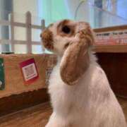 ヒメ日記 2025/01/23 21:31 投稿 チチ Club Hearts