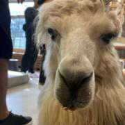 ヒメ日記 2025/02/28 12:41 投稿 チチ Club Hearts