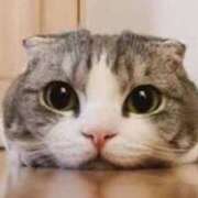 ヒメ日記 2025/03/06 16:10 投稿 チチ Club Hearts