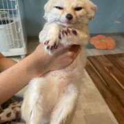 ヒメ日記 2025/07/30 18:32 投稿 チチ Club Hearts