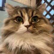 ヒメ日記 2025/08/24 17:01 投稿 チチ Club Hearts