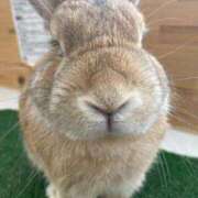 ヒメ日記 2025/08/30 18:01 投稿 チチ Club Hearts