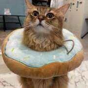 ヒメ日記 2025/09/09 00:26 投稿 チチ Club Hearts