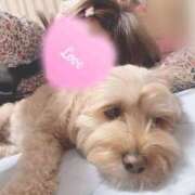 ヒメ日記 2025/09/23 00:54 投稿 リオン ヴィーナス(金津園)