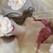 ヒメ日記 2025/07/07 11:30 投稿 セリ 京都ホテヘル倶楽部