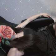 ヒメ日記 2025/07/26 08:39 投稿 セリ 京都ホテヘル倶楽部