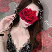 ヒメ日記 2025/08/01 06:30 投稿 セリ 京都ホテヘル倶楽部