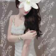 ヒメ日記 2025/08/15 08:51 投稿 セリ 京都ホテヘル倶楽部