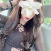 ヒメ日記 2025/09/07 12:31 投稿 セリ 京都ホテヘル倶楽部