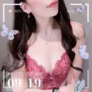 ヒメ日記 2025/09/20 05:23 投稿 セリ 京都ホテヘル倶楽部