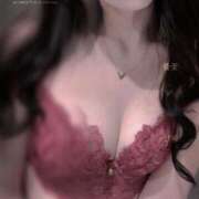 ヒメ日記 2025/10/02 13:10 投稿 セリ 京都ホテヘル倶楽部