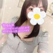 ヒメ日記 2025/03/15 20:05 投稿 もも アムールクリスタル