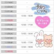 ヒメ日記 2025/11/18 10:25 投稿 もも アムールクリスタル