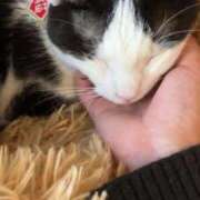 ヒメ日記 2025/02/04 12:44 投稿 ほまれ チューリップ姫路店