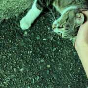 ヒメ日記 2025/05/27 21:55 投稿 ほまれ チューリップ姫路店