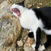 ヒメ日記 2025/10/07 08:40 投稿 ほまれ チューリップ姫路店