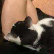 ヒメ日記 2025/10/20 13:45 投稿 ほまれ チューリップ姫路店