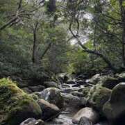 ヒメ日記 2025/10/22 12:20 投稿 ほまれ チューリップ姫路店