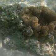 ヒメ日記 2025/10/23 17:01 投稿 ほまれ チューリップ姫路店