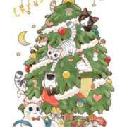 ヒメ日記 2024/12/25 09:30 投稿 桔梗（ききょう）しおり YESグループ水戸　華女