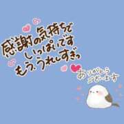ヒメ日記 2025/05/12 09:36 投稿 桔梗（ききょう）しおり YESグループ水戸　華女