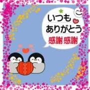 ヒメ日記 2025/05/14 17:30 投稿 桔梗（ききょう）しおり YESグループ水戸　華女