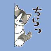 ヒメ日記 2025/07/08 11:07 投稿 桔梗（ききょう）しおり YESグループ水戸　華女