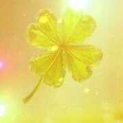 ヒメ日記 2025/07/23 16:00 投稿 桔梗（ききょう）しおり YESグループ水戸　華女