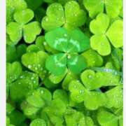 ヒメ日記 2025/07/30 10:04 投稿 桔梗（ききょう）しおり YESグループ水戸　華女