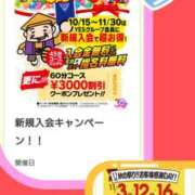ヒメ日記 2025/11/16 13:16 投稿 桔梗（ききょう）しおり YESグループ水戸　華女