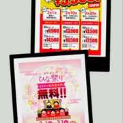 桔梗（ききょう）しおり イベント告知です！！ YESグループ水戸　華女