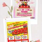 桔梗（ききょう）しおり 旦那様々いかが、お過ごしですか YESグループ水戸　華女