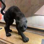 ヒメ日記 2024/12/21 12:09 投稿 優愛(ユア) グランドオペラ名古屋