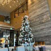 ヒメ日記 2024/12/25 07:19 投稿 優愛(ユア) グランドオペラ名古屋