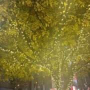 ヒメ日記 2024/12/30 23:19 投稿 優愛(ユア) グランドオペラ名古屋