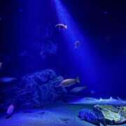 ヒメ日記 2025/02/27 18:10 投稿 優愛(ユア) グランドオペラ名古屋