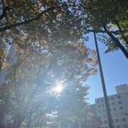 ヒメ日記 2025/04/03 11:11 投稿 優愛(ユア) グランドオペラ名古屋