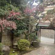 ヒメ日記 2025/08/11 07:09 投稿 優愛(ユア) グランドオペラ名古屋