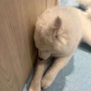 ヒメ日記 2025/08/14 07:09 投稿 優愛(ユア) グランドオペラ名古屋