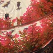 ヒメ日記 2025/08/16 18:19 投稿 優愛(ユア) グランドオペラ名古屋