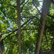 ヒメ日記 2025/08/18 15:23 投稿 優愛(ユア) グランドオペラ名古屋