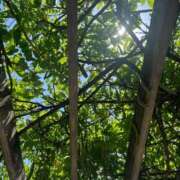 ヒメ日記 2025/08/22 13:19 投稿 優愛(ユア) グランドオペラ名古屋