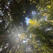 ヒメ日記 2025/08/25 15:16 投稿 優愛(ユア) グランドオペラ名古屋