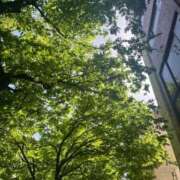 ヒメ日記 2025/09/07 07:19 投稿 優愛(ユア) グランドオペラ名古屋