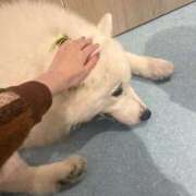 ヒメ日記 2025/09/12 12:09 投稿 優愛(ユア) グランドオペラ名古屋